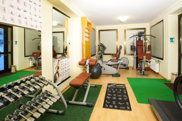 Alexander Hotel Alpine Wellness Dolomites***s (Molveno)